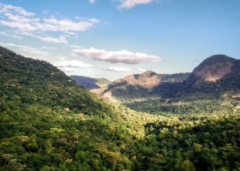 Dia da Mata Atlântica: Magé transforma Plano de Recuperação em decreto