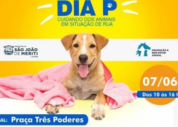 Dia P: Meriti promove ação social para animais em situação de rua nesta segunda (07)