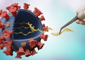 Pesquisas indicam que variante Delta no Rio pode ter origem local