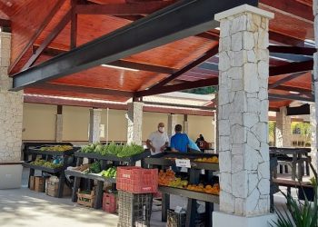 Magé vai ganhar Mercado do Produtor Agro