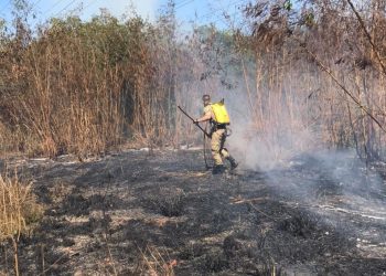 Grupamento Tático Ambiental de Mesquita combate incêndio