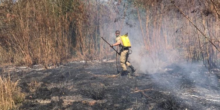 Grupamento Tático Ambiental de Mesquita combate incêndio