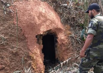 Guarda Ambiental de Nova Iguaçu desativa carvoaria clandestina em Jaceruba