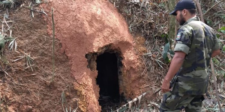 Guarda Ambiental de Nova Iguaçu desativa carvoaria clandestina em Jaceruba