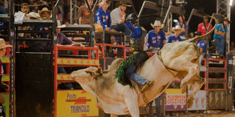MPRJ firma TAC com Macaé para coibir maus-tratos a animais durante rodeios realizados na cidade