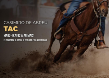 MPRJ obtém compromisso do prefeito de Casimiro de Abreu para coibir maus-tratos a animais durante rodeios realizados na cidade