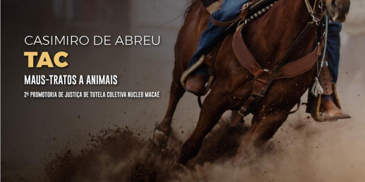 MPRJ obtém compromisso do prefeito de Casimiro de Abreu para coibir maus-tratos a animais durante rodeios realizados na cidade