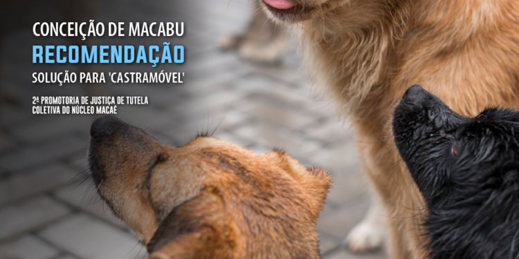 MPRJ recomenda que Conceição de Macabu solucione impasse envolvendo aquisição de trailer ‘castramóvel’