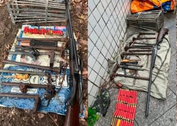 Polícia Ambiental apreende armas e material de caça clandestina na Baixada