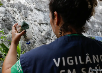 Saúde abre consulta pública sobre inclusão de vacina da dengue no SUS