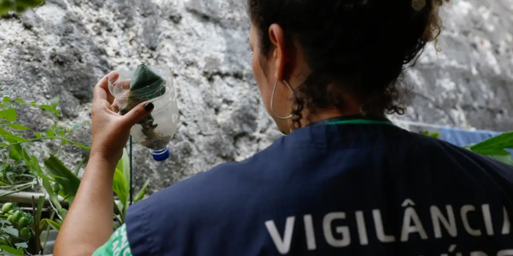 Saúde abre consulta pública sobre inclusão de vacina da dengue no SUS