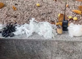 Dupla é presa com drogas, granada e telefone na Baixada Fluminense