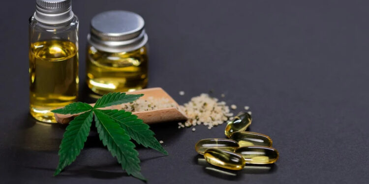 Uma audiência pública está marcada para debater o uso da cannabis sativa na fabricação de remédios.
