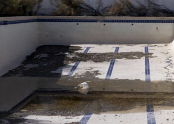 Epidemia de dengue: veja o boletim sobre a doença em 2024.