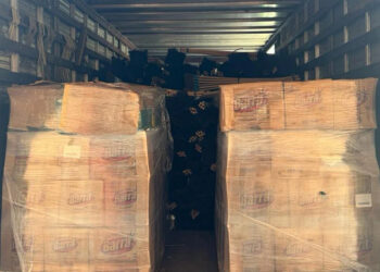 Vítimas da enchente na Baixada receberão mais de 30 toneladas de doações.