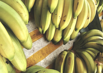 Preço da banana sobe devido à escassez de oferta.