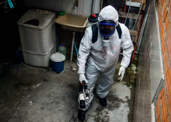 São Paulo torna-se o 7º estado a decretar emergência devido à dengue, com um total de 31 mortes registradas.