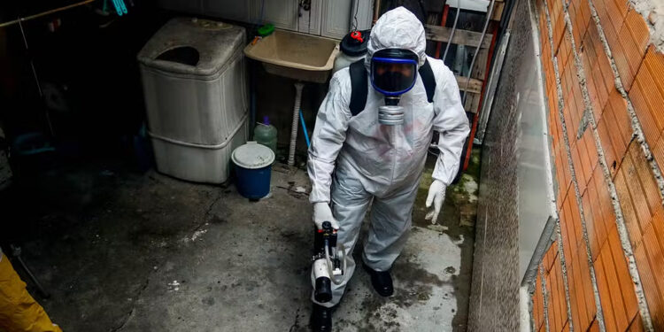 São Paulo torna-se o 7º estado a decretar emergência devido à dengue, com um total de 31 mortes registradas.