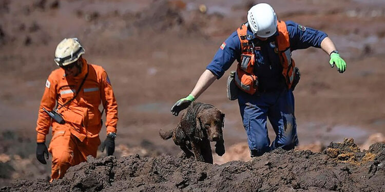 Parentes de vítimas ficam indignados com a decisão sobre Brumadinho.