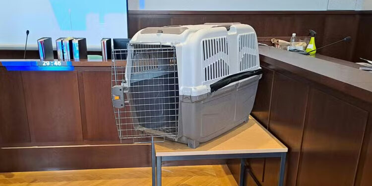 Uma mulher foi detida na Áustria por colocar o filho em uma caixa de transporte para cães, deixando-o à beira da morte.