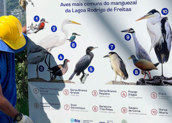 Placas educativas são instaladas no entorno da Lagoa Rodrigo de Freitas pela Prefeitura e Águas do Rio.