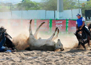 Decisão judicial suspende vaquejadas na Baixada Fluminense.