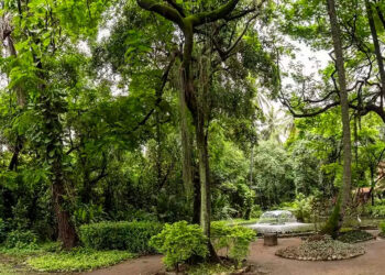 Memorial da Covid-19 será construído na Fiocruz, em Manguinhos.
