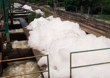Polícia Civil indicia quatro executivos por poluição do Rio Guandu.