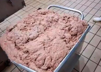 Polícia apreende uma tonelada de alimentos em frigorífico; gerente é detido.