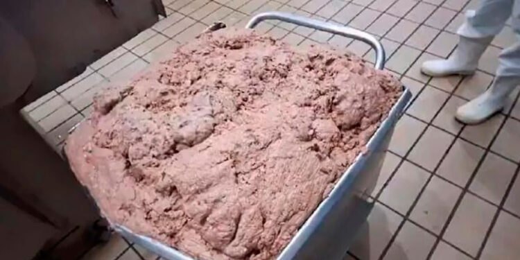 Polícia apreende uma tonelada de alimentos em frigorífico; gerente é detido.