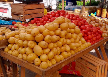 Variação da Inflação em junho aponta aumento de preços em diversos setores.