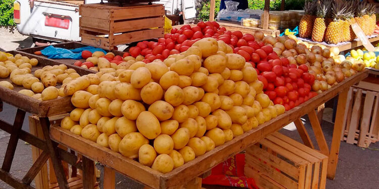 Variação da Inflação em junho aponta aumento de preços em diversos setores.