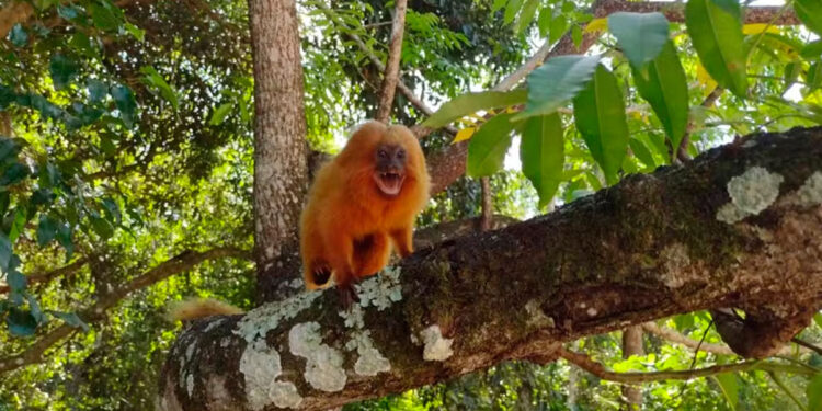 Cabo Frio amplia ecoturismo com recuperação ambiental