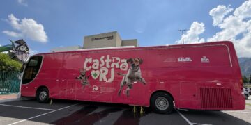 Castra Mais RJ amplia atendimento e chega à Penha e Pavuna