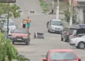 Segurança na Baixada expõe avanços e desafios no combate ao crime